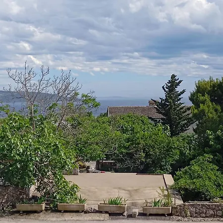 Helena Guest house 3*